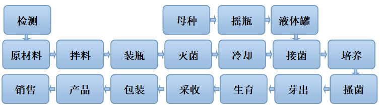 食用菌工廠化生產(chǎn)方案